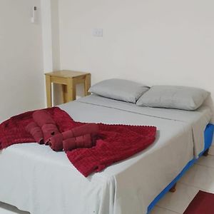 Habitación Estándar con Cama King
